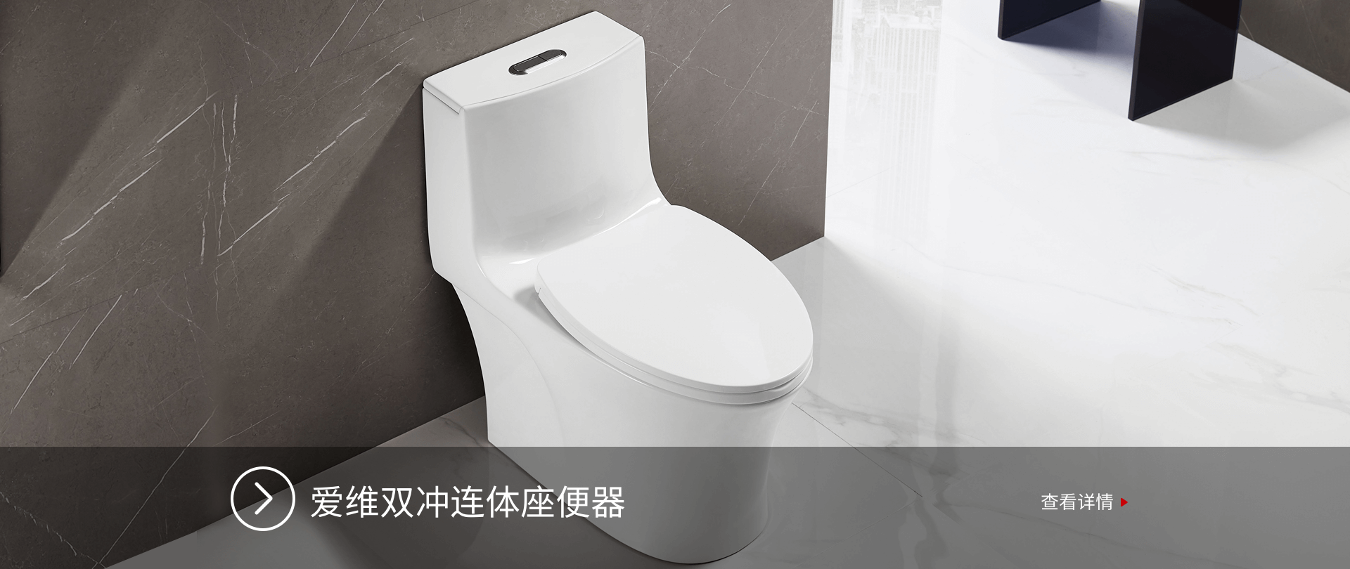 IVY 爱维双冲连体座便器